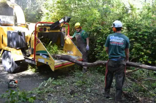 tree services North Judson